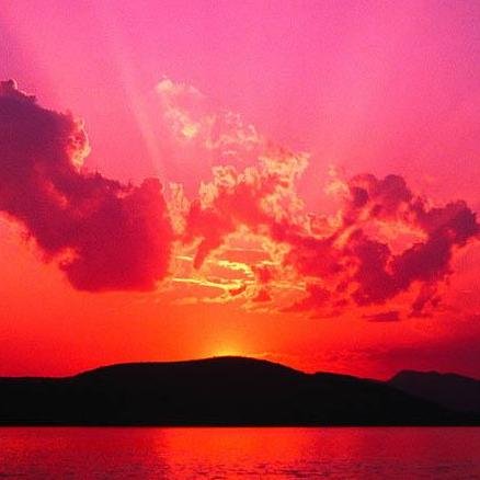 tffnmacdonald4's profile picture. 