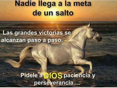 61cabb3936c04cc's profile picture. 