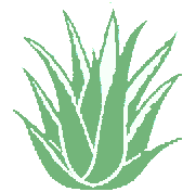 Former IT-Consultant, now prefering healthy products like Aloe Vera. You can eat it, you can drink it and you can protect your skin ...