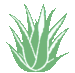 Grässer NP (@aloe_gnp) Twitter profile photo Grässer NP (@aloe_gnp) Twitter profile photo