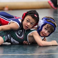 VAWA Wrestling (@vawawrestling) 's Twitter Profile