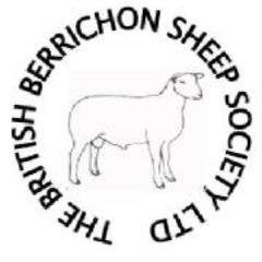 The British Berrichon is an alternative terminal sire producing easily born, easily reared & easily finished prime lambs.