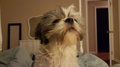 drewskiix's profile picture. #Aries #Jawbreaker (follow on insta @dr3wyork