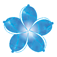 Intuitive Healer, Reading Tarot Cards, Oracle Cards.