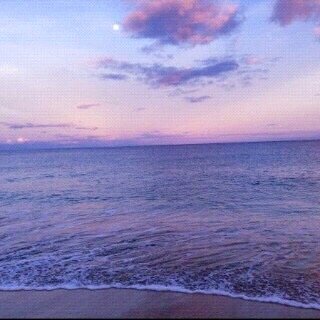 vovo_1144's profile picture. ..