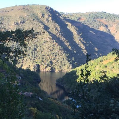 Almudena171273's profile picture. 