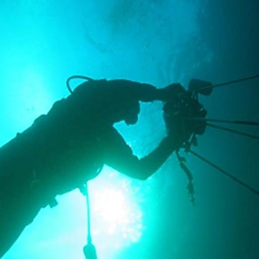GM Coastal Science at Cawthron Institute; Sustainable Seas Challenge Leadership Team; SfTI Challenge Spearhead Lead-Precision Farming Tech for Aquaculture