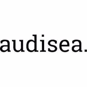 Audisea es un proyecto editorial y audiovisual formado por cinco escritores con el objetivo de ampliar las posibilidades de los autores.