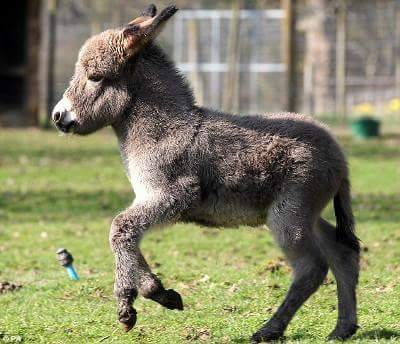 indcodems's profile picture. Independence County AR Democratic Central Committee. #arpx #indcoar #ardems