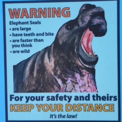 Loy86's profile picture. 