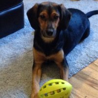 Murphy (@murphburger4) 's Twitter Profile