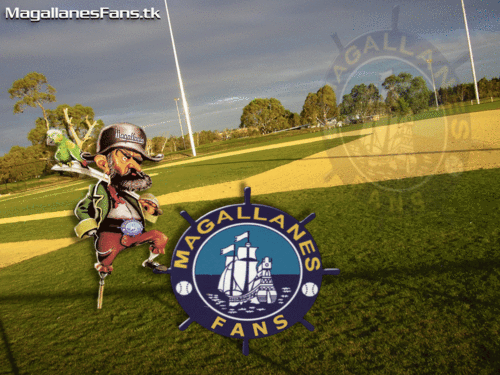 acido4020's profile picture. 