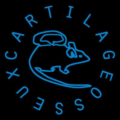 CartilageOsseux's profile picture. Startup label based in Portland, OR. Est. 2015. Because you like good shit.
