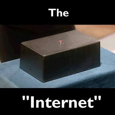 AmieMitchell19's profile picture. 