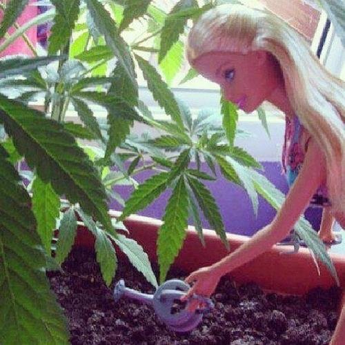 instagram: m4gi4_negr44 - La marihuana hecha mujer