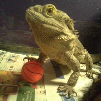 BowserBlem's profile picture. I am Bowser!