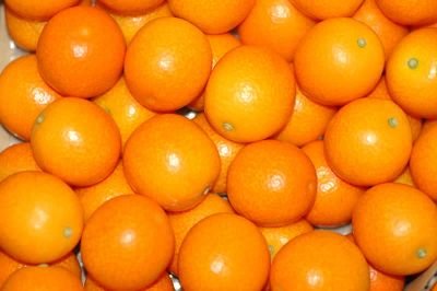 kumquat3110