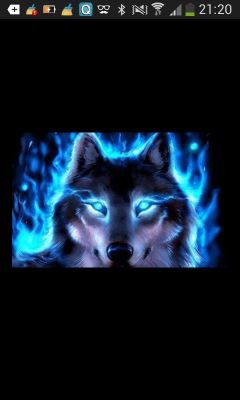 marvinhoelsch's profile picture. 