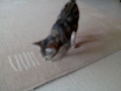 MaupetitD's profile picture. 