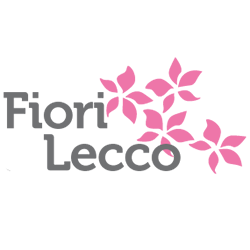 Fiorista, consegna a domicilio di fiori a Lecco