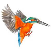Cainscross Town Council (@cainscrosspc) 's Twitter Profile