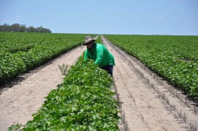 Precision Ag Enthusiast from Collarenebri NSW, studied Agribusiness at Marcus Oldham