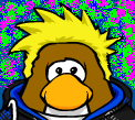 I Love Surfing, I Practice my Motorcross and I watch Rugby League.. I love most Sports.. Please follow me,