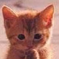 AVAYY勢 (今シーズンRP1452・前シーズンRP1718・最大RP1720)です。Clan:入ってませんAVA春終期で休止。back number/AVA/パズドラ/ドラゴンボール/ワンピース