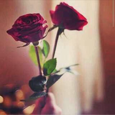 * هـل.قـلـت.اليــوم.tt.:؟ ” أشـهــد أن لا إلـه إلا الـلـه و أشـهــد أن مـحـمـد رسـول الـلـه “