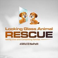 Looking Glass Animal Rescue(@LGAnimalRescue) 's Twitter Profileg