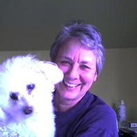 Donna (@dmtc) 's Twitter Profile