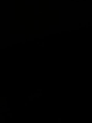 PaulaAmbrosi Profile Picture