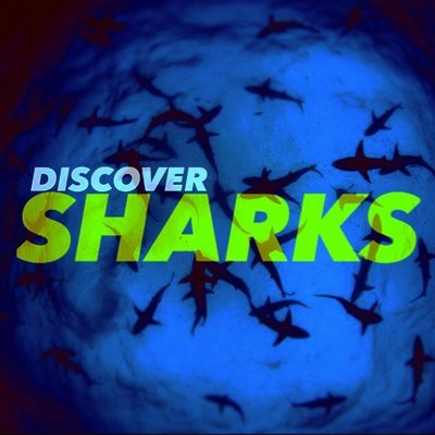 My name is Shark and I live in the dark blue sea. DiscoverSharks™