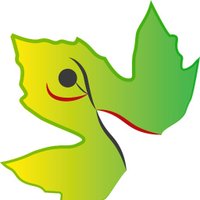 Fundación Sicómoro (@f_sicomoro) 's Twitter Profile Photo Fundación Sicómoro (@f_sicomoro) 's Twitter Profile Photo