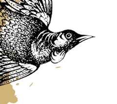 webstockgame's profile picture. I'm the official Webstock Game for 2011. Be excited people!