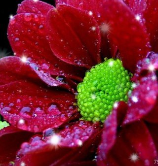 hnonn38803's profile picture. انسانه بسيطه احب عالم المجد✌ الله يخلي ❤امي❤وولا يحرمني منها يارب ✨اللهم احسِن عَاقبتَنافِي الأمًُوركُلهاًًوَأجِرنَامِنّ خِزي الدنيَاوَعَذَابِ الَاخرُةٍ✨