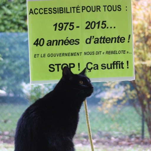 Le Comité pour le Droit au Travail des #Handicapés et l'Égalité des Droits défend les intérêts des personnes handicapées, malades ou âgées et de leurs familles.