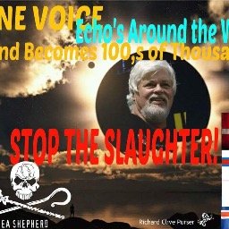Official Twitter Account of Stop Dolphin Slaughter. Working to stop the inane slaughter and captivity of cetaceans worldwide. Advocates for all other animals.