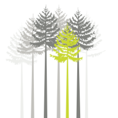Laurentian University School of the Environment Student Association #laurentianuniversity #environment #sotesa