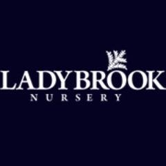 ladybrookplants's profile picture. Ladybrook Plant Nursery is based in Bramhall. We supply to wholesale nurseries, landscape designers, Local Authorities, and garden designers.