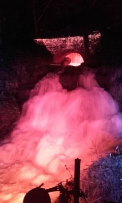 xox_laureng2702's profile picture. 