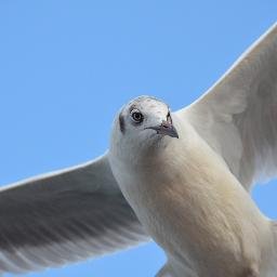 donotopen1's profile picture. 