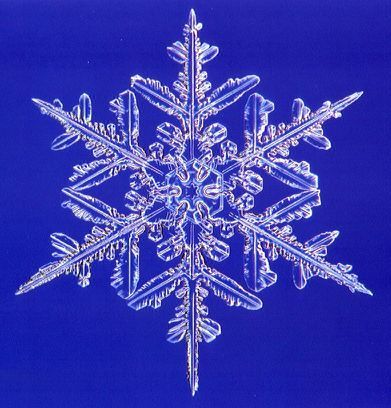 melbelle1017's profile picture. PBO with LIFE Leadership