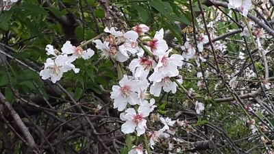 rubenscrle's profile picture. 