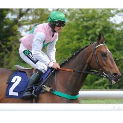 Assistant trainer & professional NH jockey @ Peter Winks Racing - Sponsored by Barnsley brew and London tea rooms