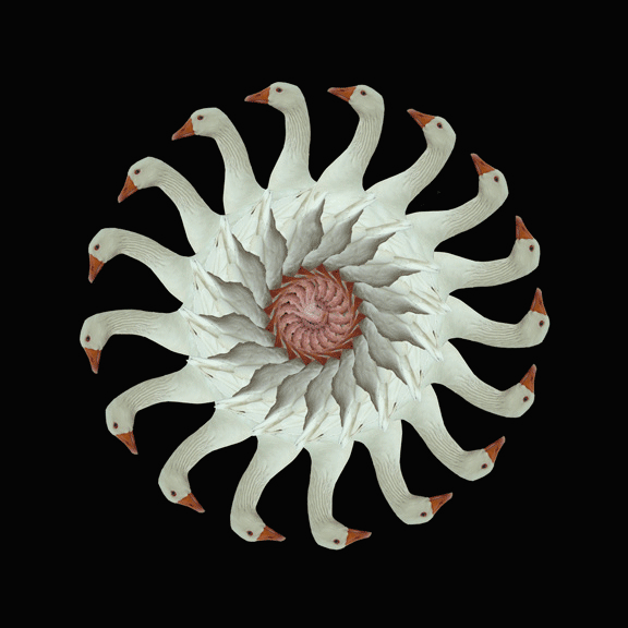 schwabbyfw's profile picture. Illustrator, Artist, designer, dreamer, hopeful