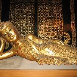 tetsugon48's profile picture. アラ50。大阪府在住。