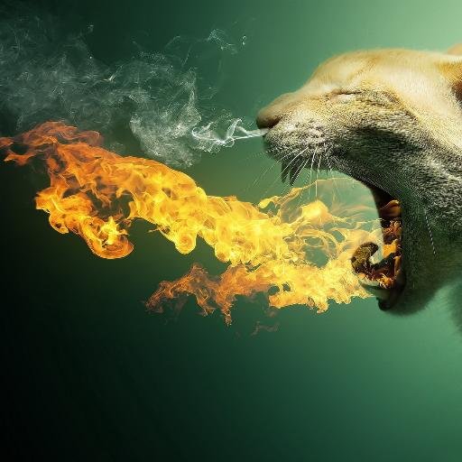 Fenix2King's profile picture. 