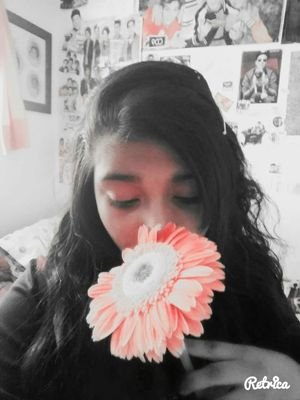 mouquedeleyva's profile picture.