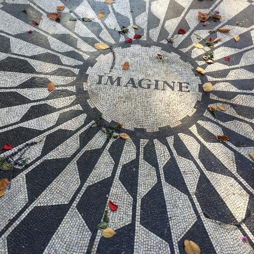 mimobro's profile picture. Living the dream